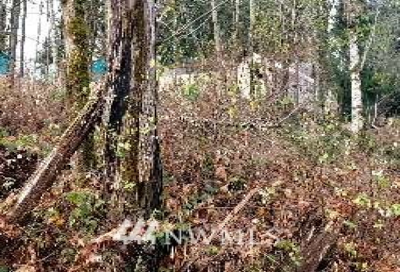 2518 Handicap (2530 also), Olympia, Washington 98512, ,Land,For Sale,Handicap (2530 also),NWM1865724