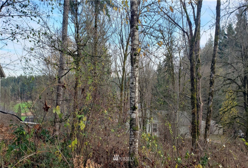 2518 Handicap (2530 also), Olympia, Washington 98512, ,Land,For Sale,Handicap (2530 also),NWM1865724