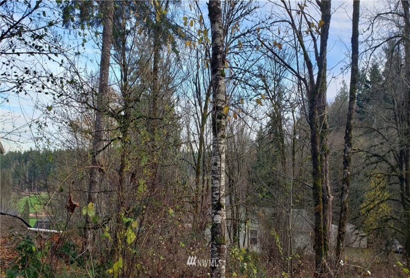 2518 Handicap (2530 also), Olympia, Washington 98512, ,Land,For Sale,Handicap (2530 also),NWM1865724