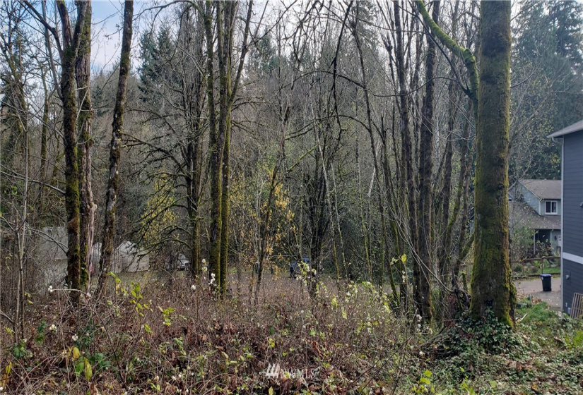 2518 Handicap (2530 also), Olympia, Washington 98512, ,Land,For Sale,Handicap (2530 also),NWM1865724