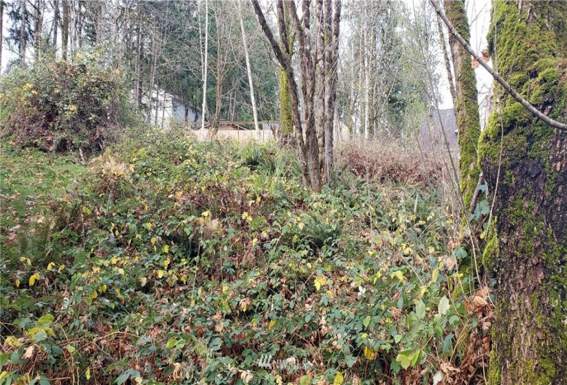 2518 Handicap (2530 also), Olympia, Washington 98512, ,Land,For Sale,Handicap (2530 also),NWM1865724