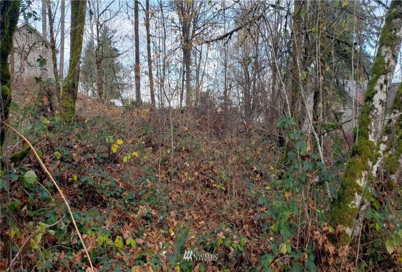2518 Handicap (2530 also), Olympia, Washington 98512, ,Land,For Sale,Handicap (2530 also),NWM1865724