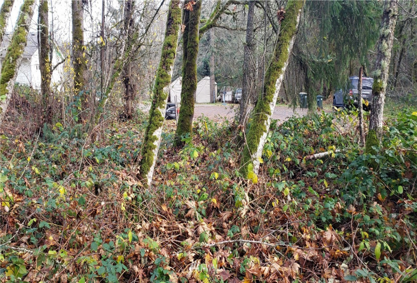 2518 Handicap (2530 also), Olympia, Washington 98512, ,Land,For Sale,Handicap (2530 also),NWM1865724