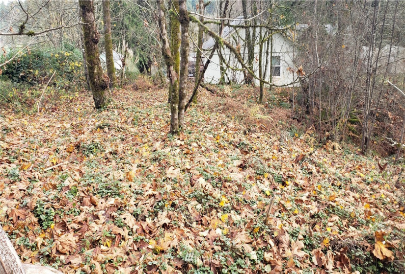 2518 Handicap (2530 also), Olympia, Washington 98512, ,Land,For Sale,Handicap (2530 also),NWM1865724