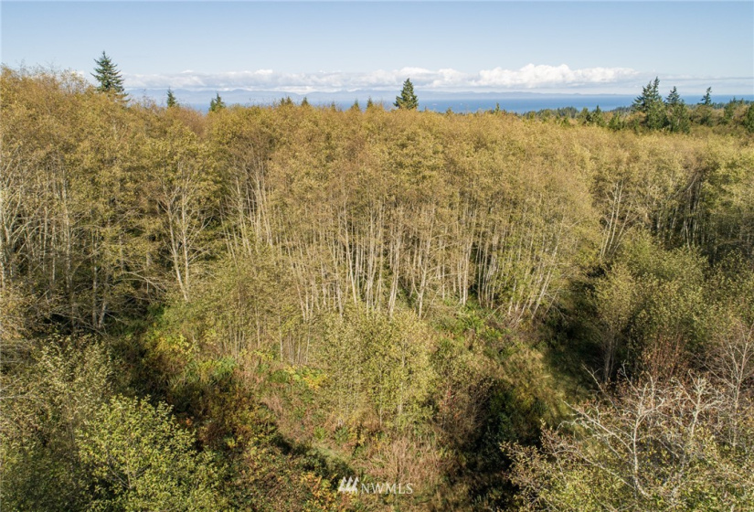 0 Hwy 112, Port Angeles, Washington 98363, ,Land,For Sale,Hwy 112,NWM1863308
