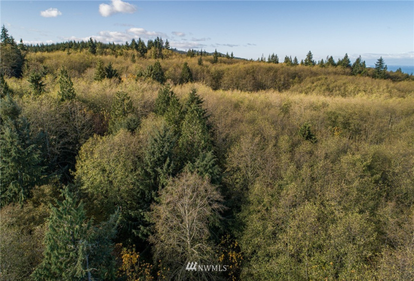 0 Hwy 112, Port Angeles, Washington 98363, ,Land,For Sale,Hwy 112,NWM1863308