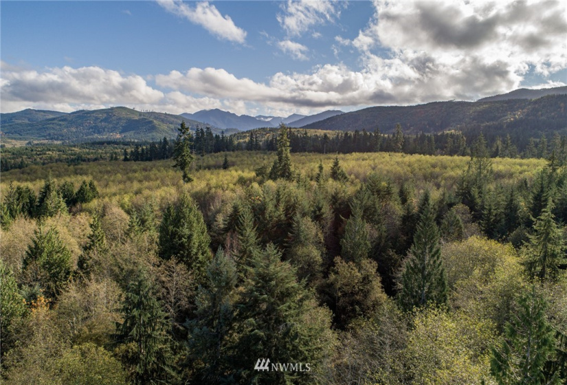 0 Hwy 112, Port Angeles, Washington 98363, ,Land,For Sale,Hwy 112,NWM1863308