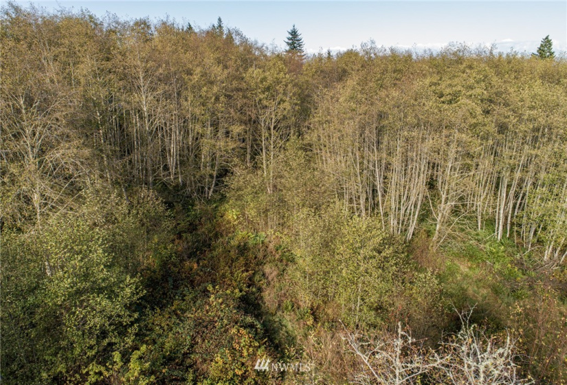 0 Hwy 112, Port Angeles, Washington 98363, ,Land,For Sale,Hwy 112,NWM1863308