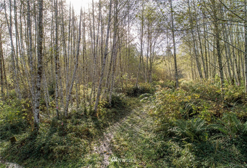 0 Hwy 112, Port Angeles, Washington 98363, ,Land,For Sale,Hwy 112,NWM1863308