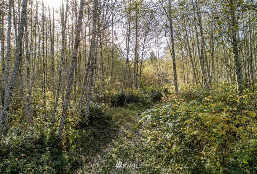 0 Hwy 112, Port Angeles, Washington 98363, ,Land,For Sale,Hwy 112,NWM1863308