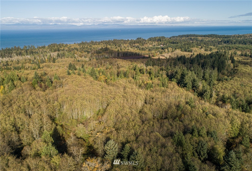 0 Hwy 112, Port Angeles, Washington 98363, ,Land,For Sale,Hwy 112,NWM1863308