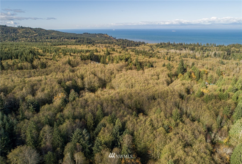 0 Hwy 112, Port Angeles, Washington 98363, ,Land,For Sale,Hwy 112,NWM1863308