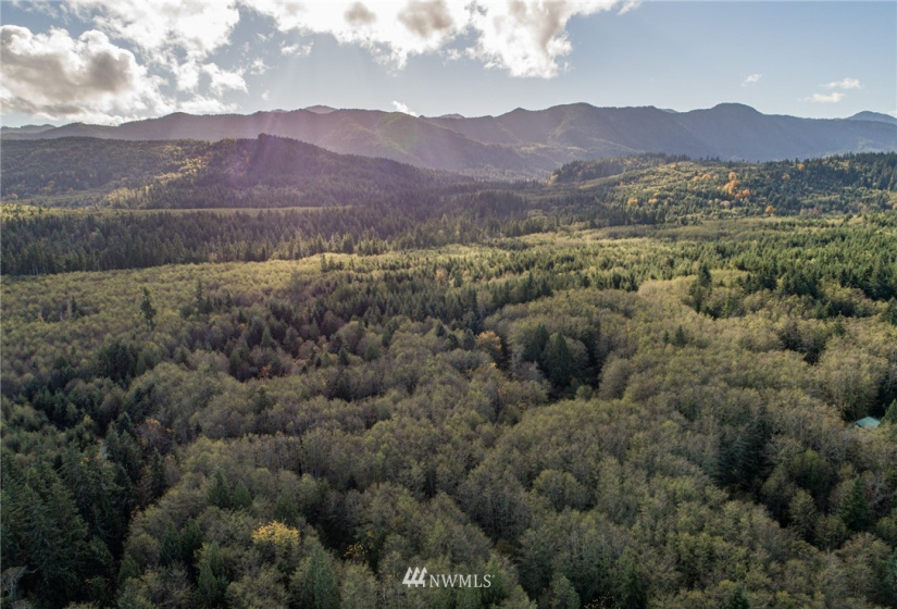 0 Hwy 112, Port Angeles, Washington 98363, ,Land,For Sale,Hwy 112,NWM1863308