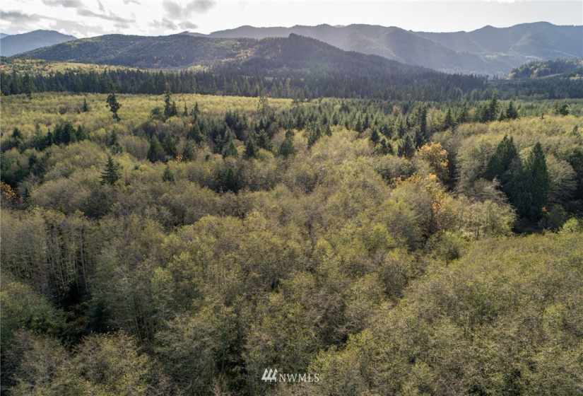 0 Hwy 112, Port Angeles, Washington 98363, ,Land,For Sale,Hwy 112,NWM1863308