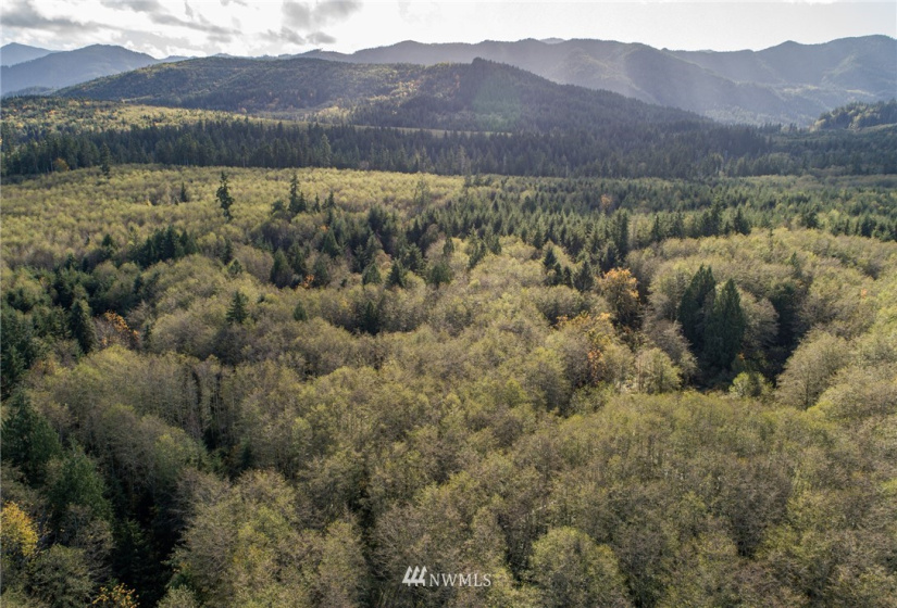 0 Hwy 112, Port Angeles, Washington 98363, ,Land,For Sale,Hwy 112,NWM1863308