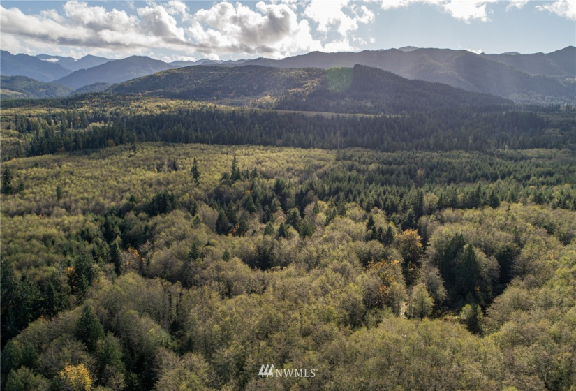 0 Hwy 112, Port Angeles, Washington 98363, ,Land,For Sale,Hwy 112,NWM1863308
