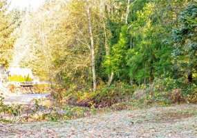 0 Rousher, Wilkeson, Washington 98326, ,Land,For Sale,Rousher,NWM1865366