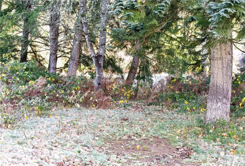 0 Rousher, Wilkeson, Washington 98326, ,Land,For Sale,Rousher,NWM1865366