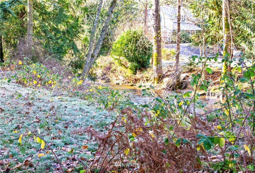 0 Rousher, Wilkeson, Washington 98326, ,Land,For Sale,Rousher,NWM1865366