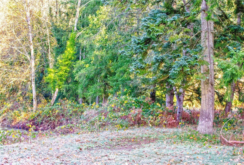 0 Rousher, Wilkeson, Washington 98326, ,Land,For Sale,Rousher,NWM1865366