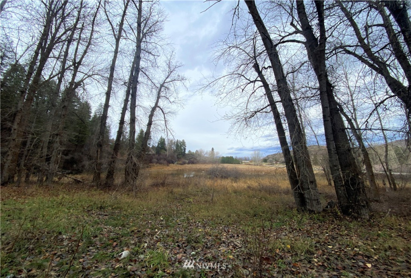 923 Twisp Carlton Road, Twisp, Washington 98856, ,Land,For Sale,Twisp Carlton Road,NWM1865482