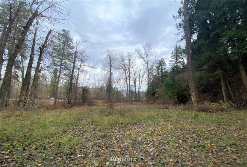 923 Twisp Carlton Road, Twisp, Washington 98856, ,Land,For Sale,Twisp Carlton Road,NWM1865482