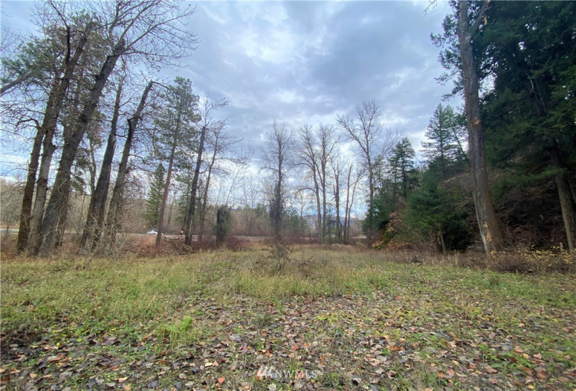 923 Twisp Carlton Road, Twisp, Washington 98856, ,Land,For Sale,Twisp Carlton Road,NWM1865482