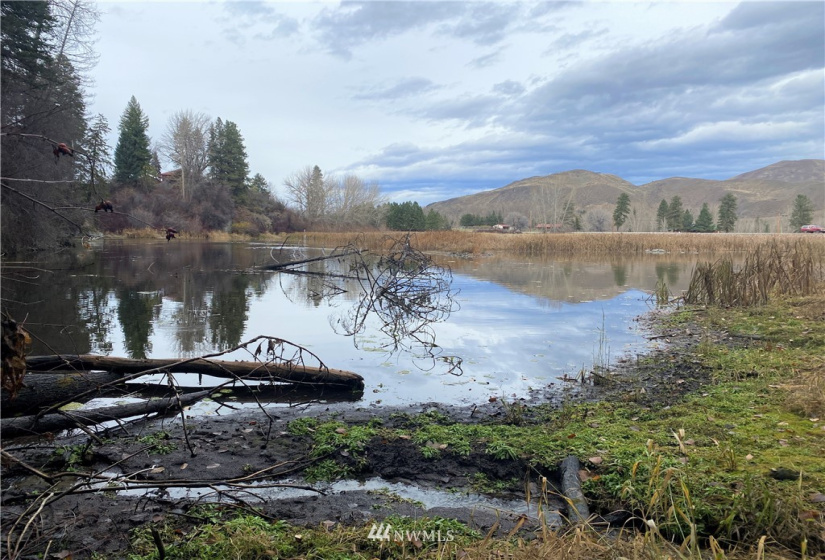 923 Twisp Carlton Road, Twisp, Washington 98856, ,Land,For Sale,Twisp Carlton Road,NWM1865482