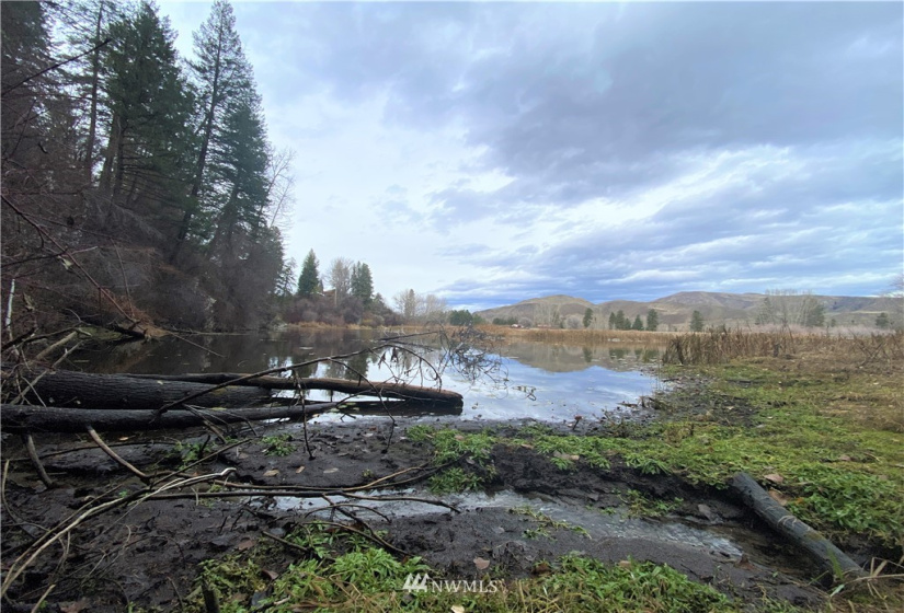 923 Twisp Carlton Road, Twisp, Washington 98856, ,Land,For Sale,Twisp Carlton Road,NWM1865482