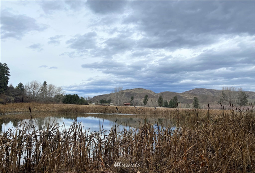 923 Twisp Carlton Road, Twisp, Washington 98856, ,Land,For Sale,Twisp Carlton Road,NWM1865482