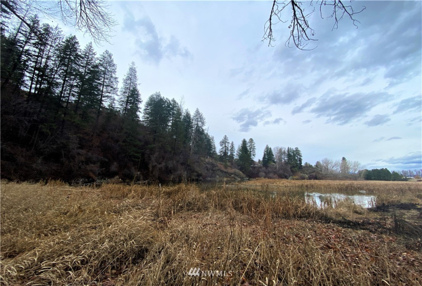 923 Twisp Carlton Road, Twisp, Washington 98856, ,Land,For Sale,Twisp Carlton Road,NWM1865482
