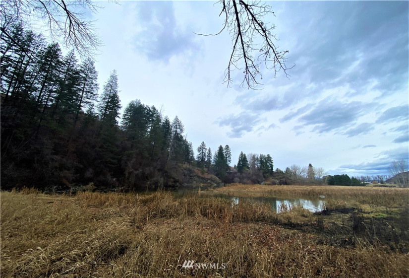 923 Twisp Carlton Road, Twisp, Washington 98856, ,Land,For Sale,Twisp Carlton Road,NWM1865482