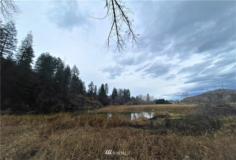 923 Twisp Carlton Road, Twisp, Washington 98856, ,Land,For Sale,Twisp Carlton Road,NWM1865482