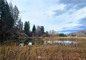 923 Twisp Carlton Road, Twisp, Washington 98856, ,Land,For Sale,Twisp Carlton Road,NWM1865482