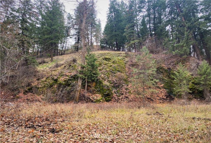 923 Twisp Carlton Road, Twisp, Washington 98856, ,Land,For Sale,Twisp Carlton Road,NWM1865482