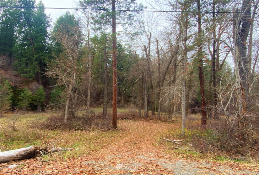 923 Twisp Carlton Road, Twisp, Washington 98856, ,Land,For Sale,Twisp Carlton Road,NWM1865482