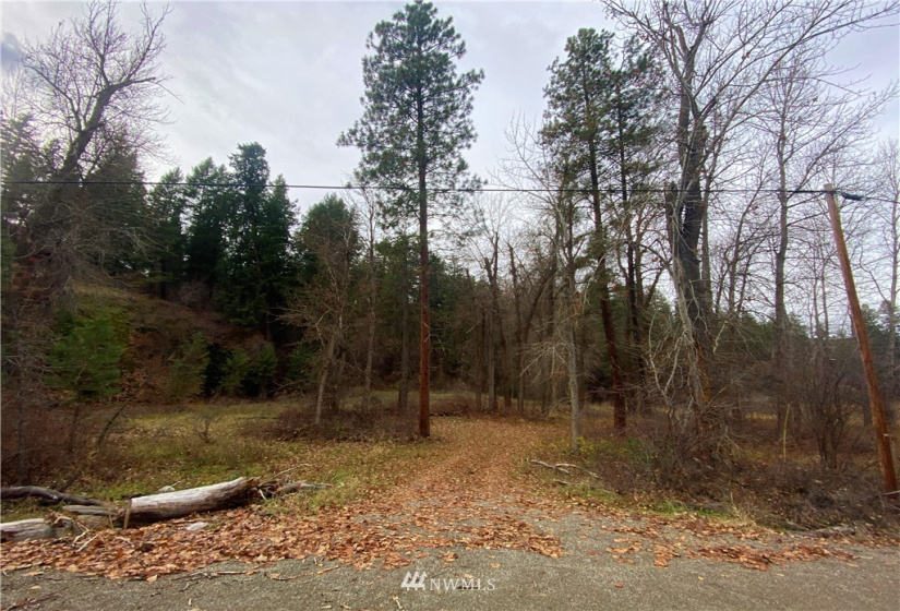 923 Twisp Carlton Road, Twisp, Washington 98856, ,Land,For Sale,Twisp Carlton Road,NWM1865482