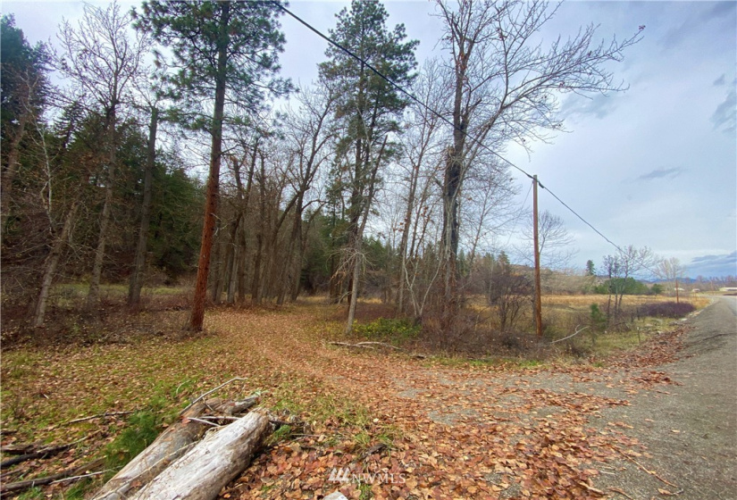 923 Twisp Carlton Road, Twisp, Washington 98856, ,Land,For Sale,Twisp Carlton Road,NWM1865482