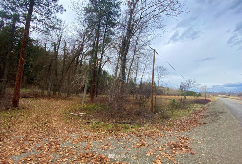 923 Twisp Carlton Road, Twisp, Washington 98856, ,Land,For Sale,Twisp Carlton Road,NWM1865482
