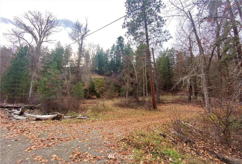 923 Twisp Carlton Road, Twisp, Washington 98856, ,Land,For Sale,Twisp Carlton Road,NWM1865482