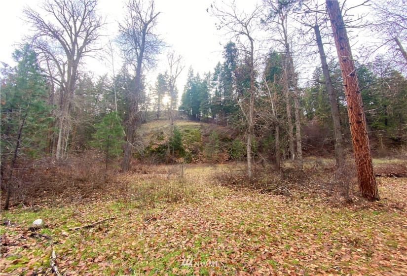 923 Twisp Carlton Road, Twisp, Washington 98856, ,Land,For Sale,Twisp Carlton Road,NWM1865482