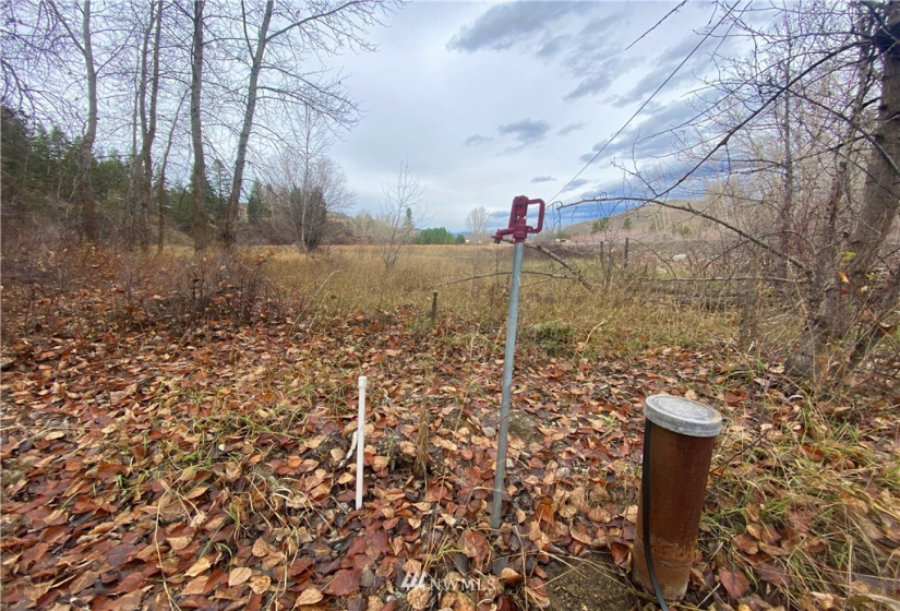 923 Twisp Carlton Road, Twisp, Washington 98856, ,Land,For Sale,Twisp Carlton Road,NWM1865482