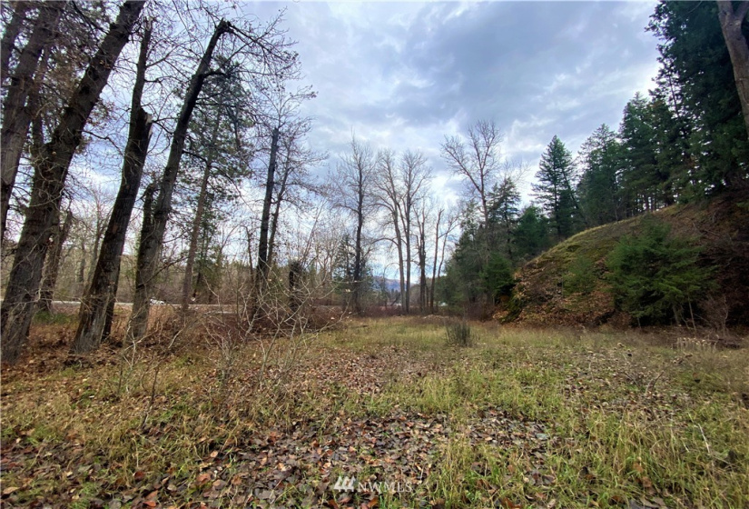 923 Twisp Carlton Road, Twisp, Washington 98856, ,Land,For Sale,Twisp Carlton Road,NWM1865482