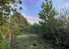 334 Sand Dune, Ocean Shores, Washington 98569, ,Land,For Sale,4,Sand Dune,NWM1866109