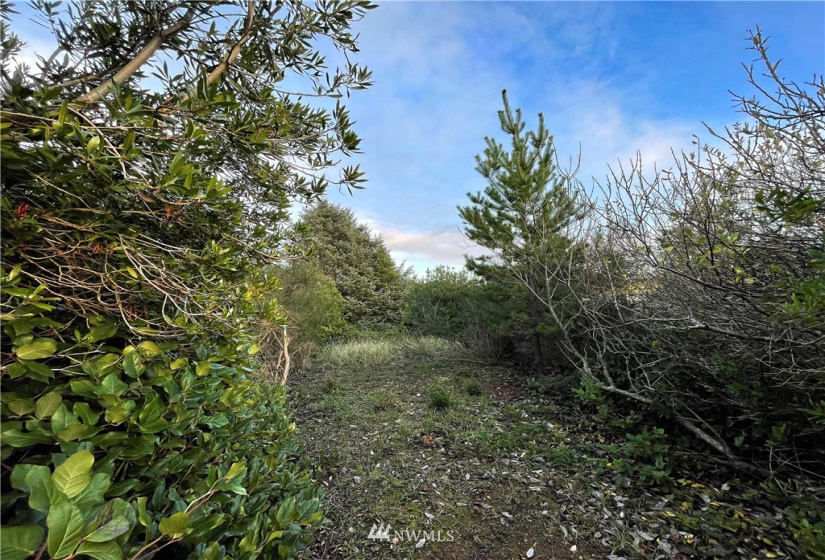 334 Sand Dune, Ocean Shores, Washington 98569, ,Land,For Sale,4,Sand Dune,NWM1866109