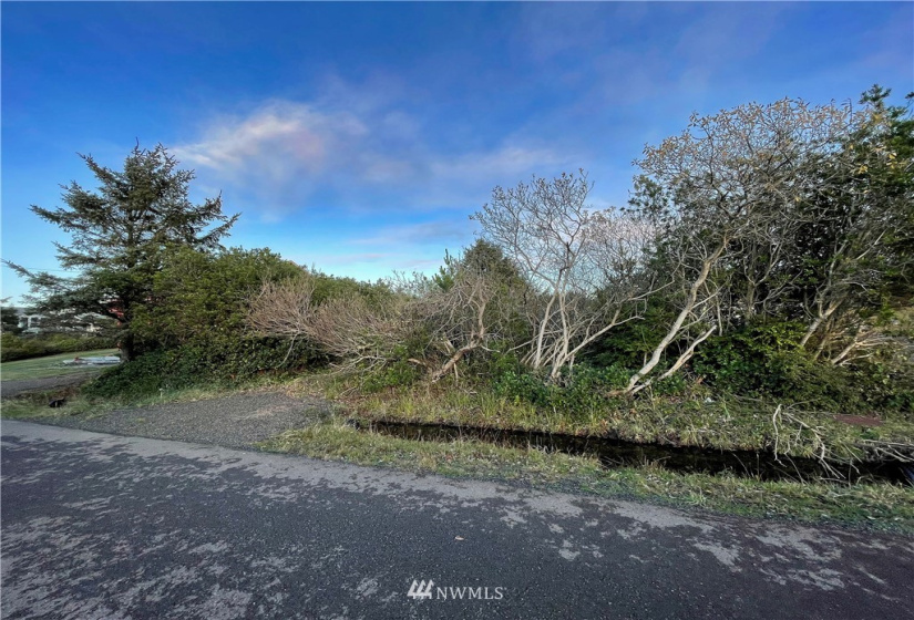 334 Sand Dune, Ocean Shores, Washington 98569, ,Land,For Sale,4,Sand Dune,NWM1866109