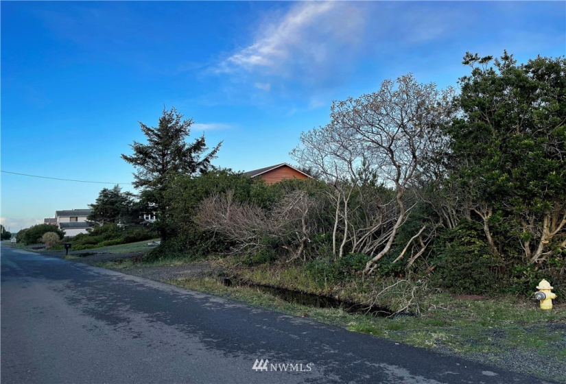 334 Sand Dune, Ocean Shores, Washington 98569, ,Land,For Sale,4,Sand Dune,NWM1866109
