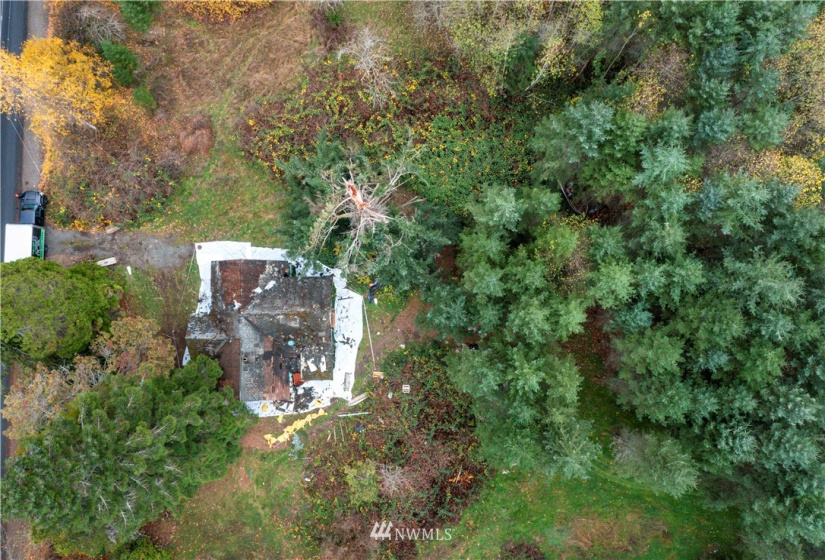22010 62nd, Spanaway, Washington 98387, ,Land,For Sale,62nd,NWM1865610