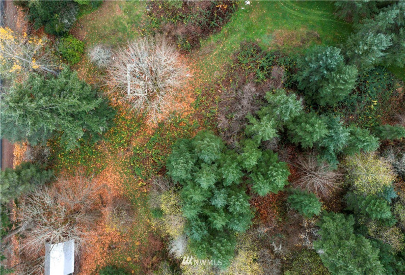 22010 62nd, Spanaway, Washington 98387, ,Land,For Sale,62nd,NWM1865610