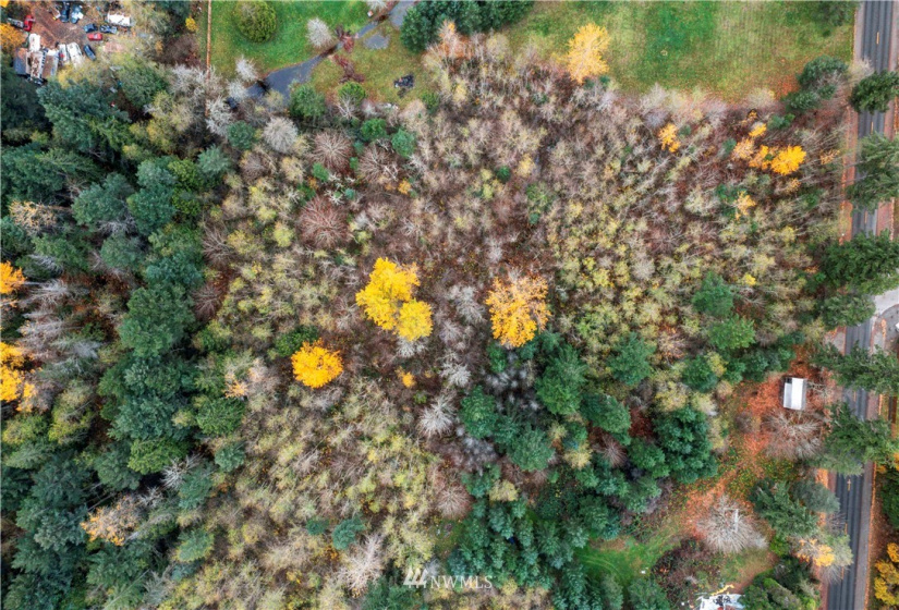 22010 62nd, Spanaway, Washington 98387, ,Land,For Sale,62nd,NWM1865610